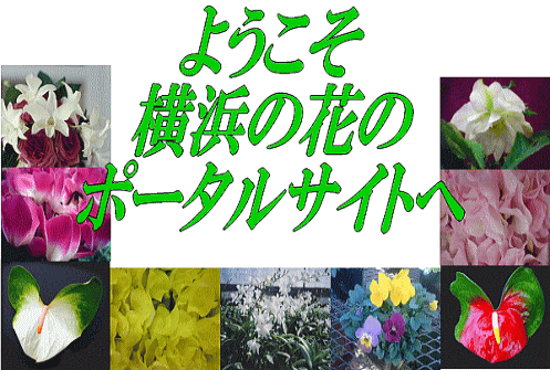 ようこそ横浜の花のポータルサイト神南フラワーへ